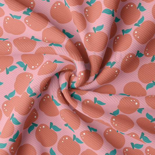 Rib Knit Fabric RBK2318 Back to School