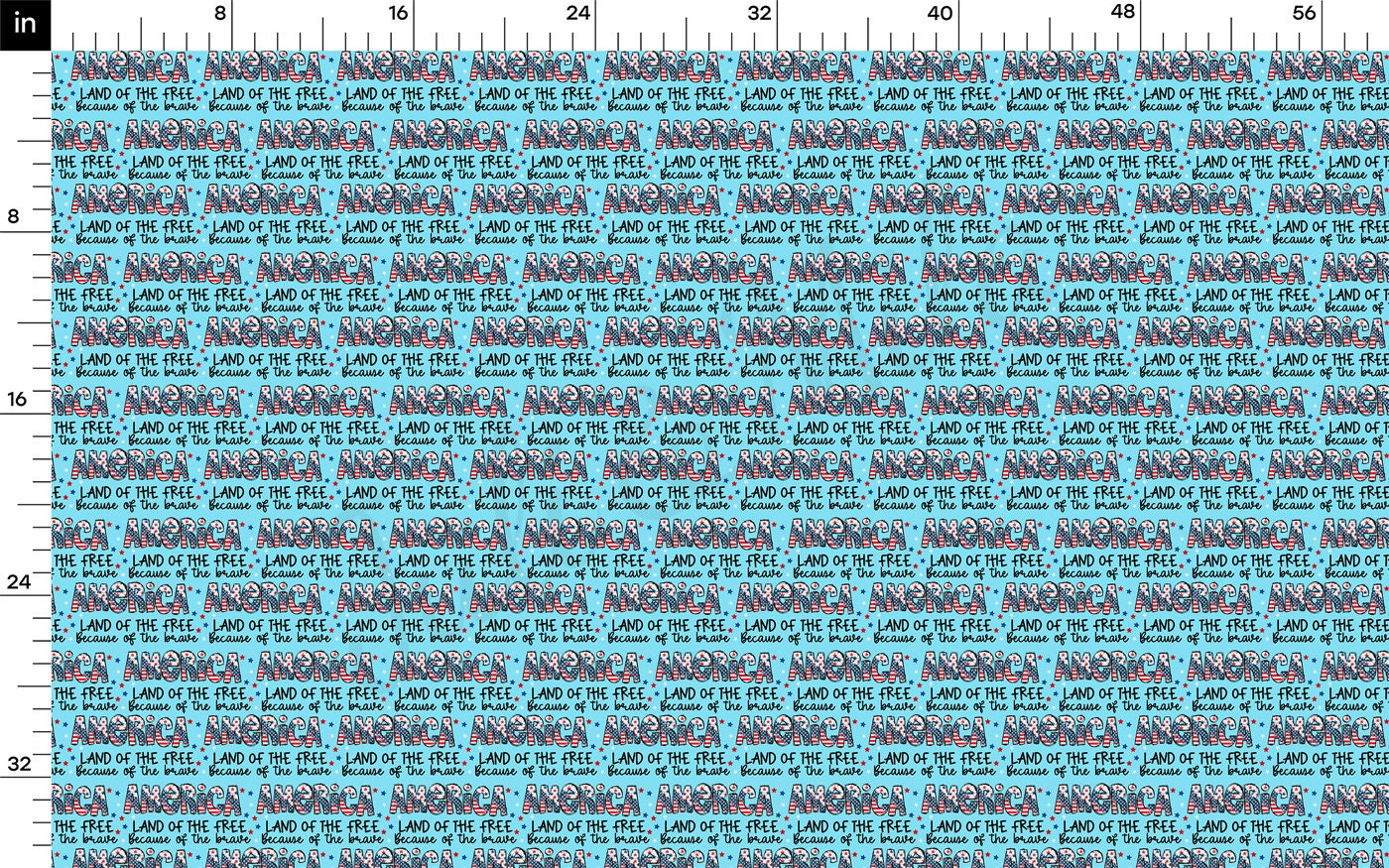 4th of July Patriotic Bullet Fabric AA2734