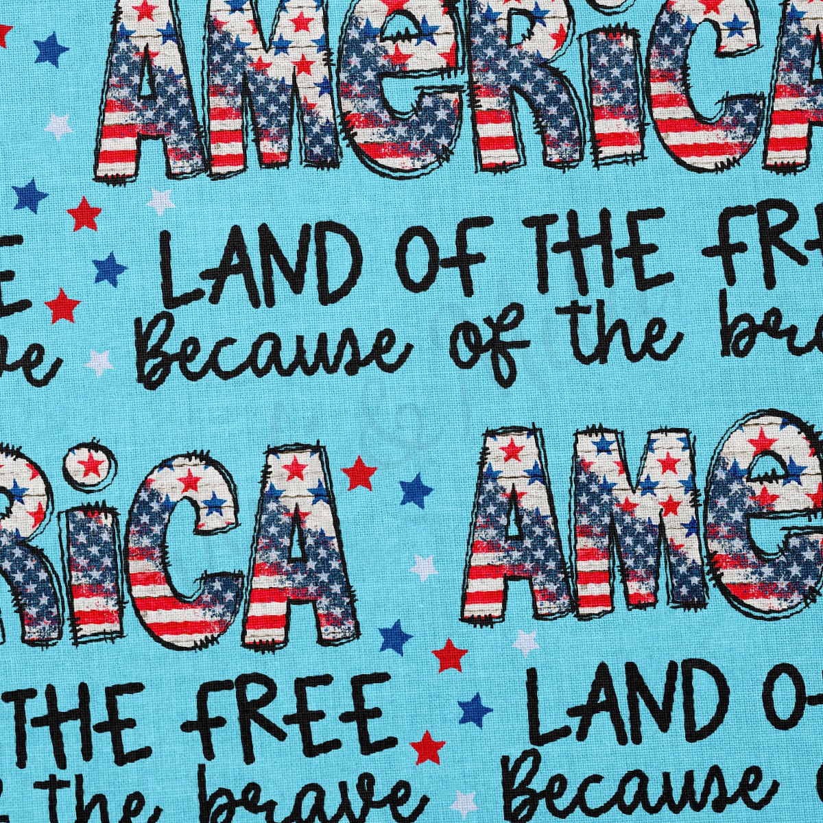 100% Cotton Fabric CTN2734 4th of July Patriotic